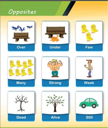 Opposites: english language lab practical activity on opposite words with examples for kids