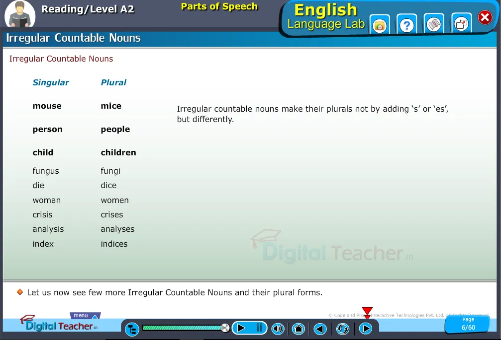 English language lab reading infographic provides activity on parts of speech to know about irregular countable nouns