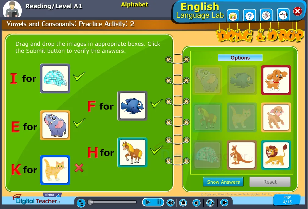 English language reading infographic gives actvity to know about the vowel words and consonant words