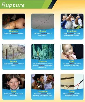 Vocabulary Builder Infographics - English Language Lab
